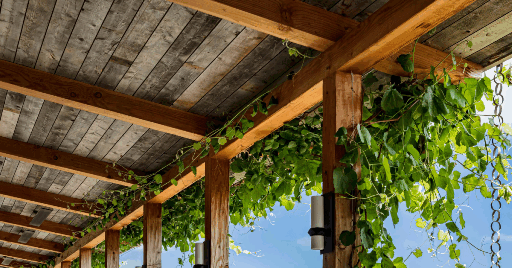 energy-efficient homes